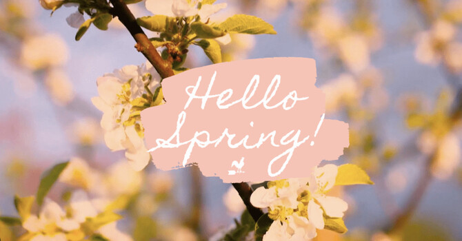 Spring Is Here: Setting Your Goals and How Chiropractic Can Help You Achieve Them image