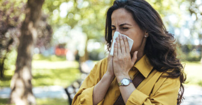 Natural Allergy Relief: How Chiropractic, Massage, and Supplements Can Help image