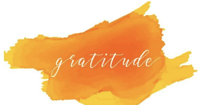 November 2025 Newsletter  image