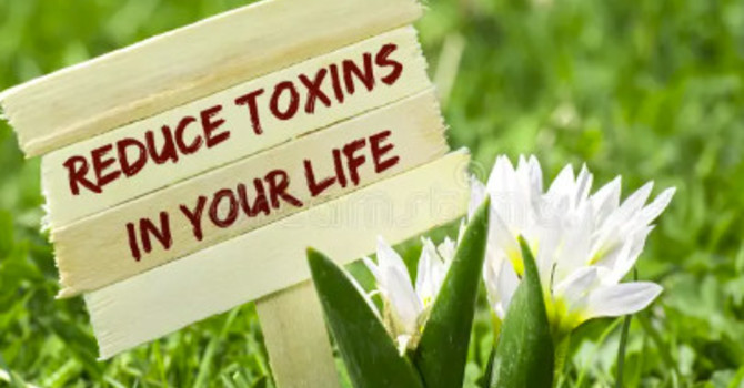 Reducing Toxins in Daily Life: What’s Worth Changing (and What’s Not)