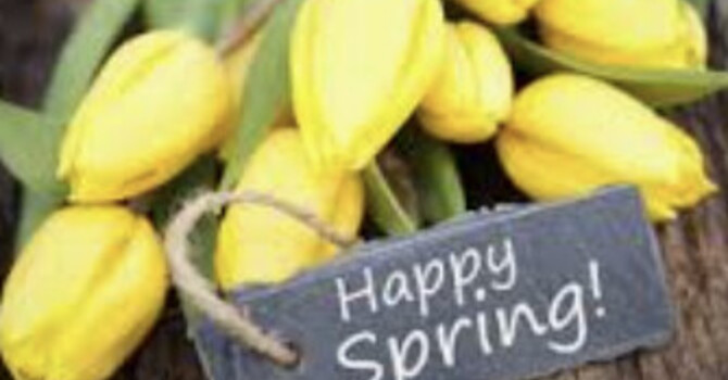 Getting Outside Again: Why Spring Sunlight Improves Your Health image