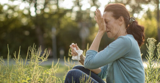 Spring Allergies: Natural Ways to Support Your Body This Seaso