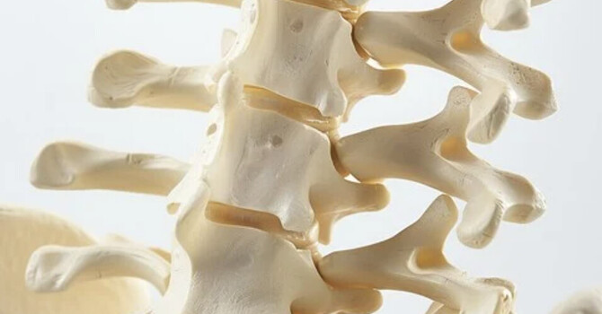 What Do Chiropractic Adjustments Really Do?