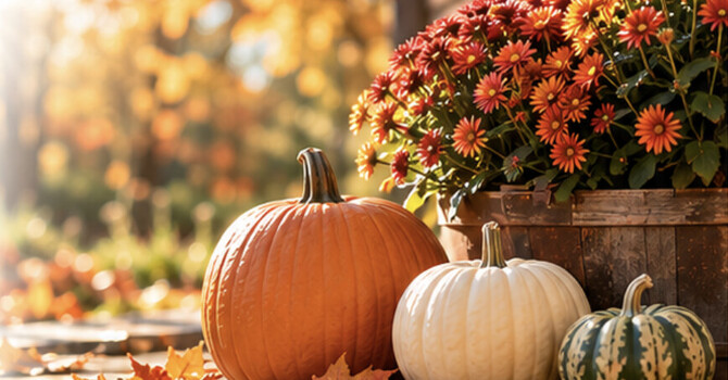 October 2026 Newsletter  image